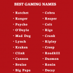 Gaming Nickname